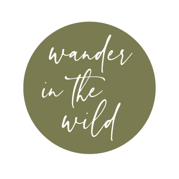 Wander in the Wild